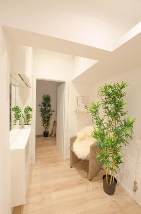 Casarina - Gemuetliches Apartment Im Zentrum Augsburgo Exterior foto